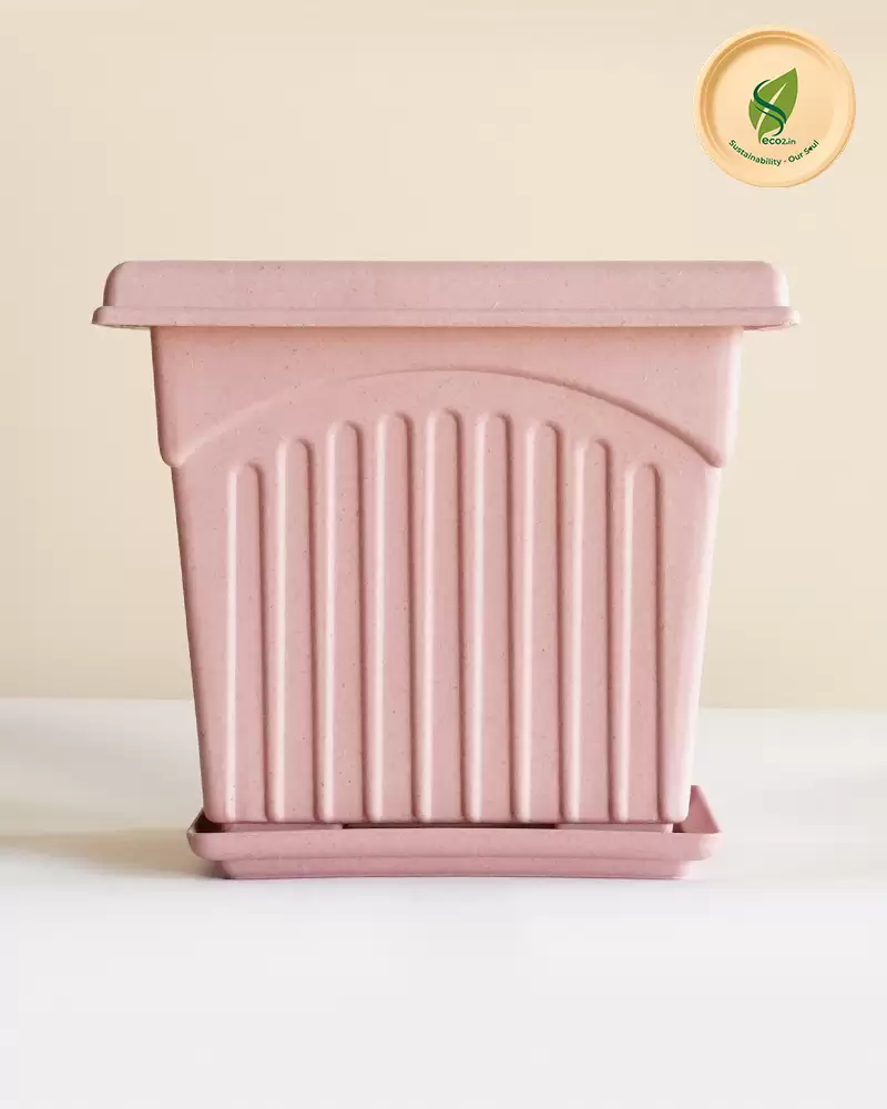 Eco Arcade Planter - Image 3